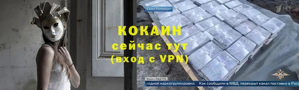 трава Инта