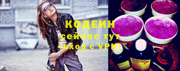 трава Инта