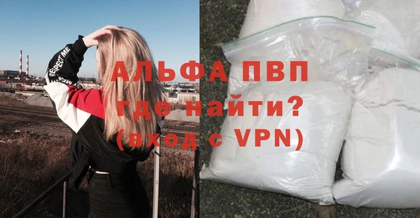ПСИЛОЦИБИНОВЫЕ ГРИБЫ Иннополис
