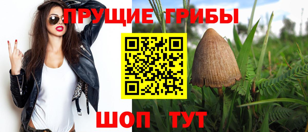 дарнет шоп  Псилоцибиновые грибы Magic Shrooms  Вход с VPN  Минеральные Воды 