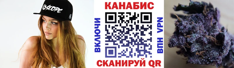 Бошки марихуана THC 21%  сколько стоит  KRAKEN как зайти  Минеральные Воды 